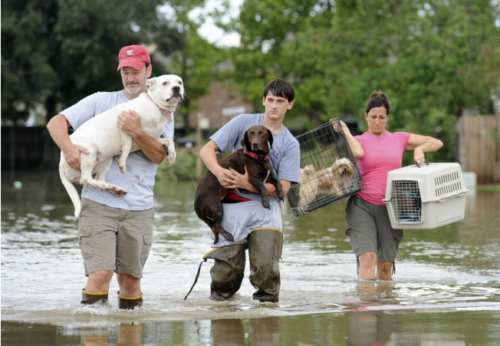 Five years after 2016 flood in Lafayette Parish, ‘Just a matter of time ...