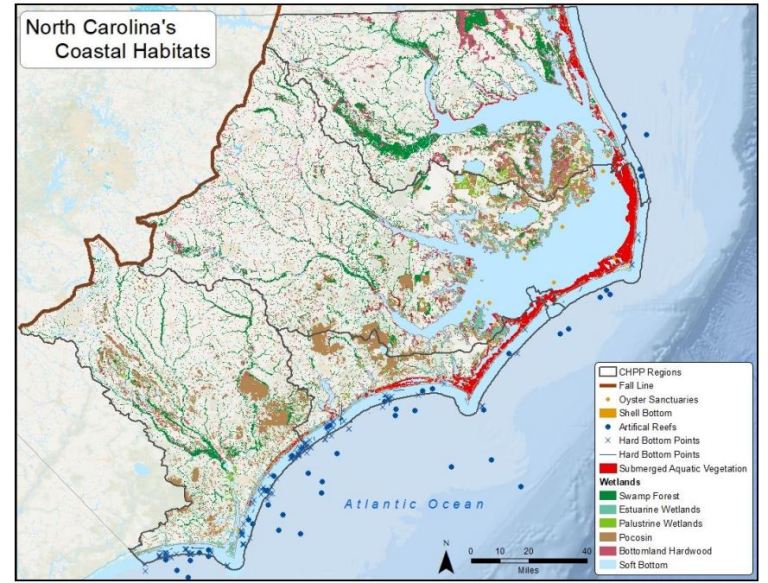 Environment commission to review coastal protection plan - DredgeWire ...