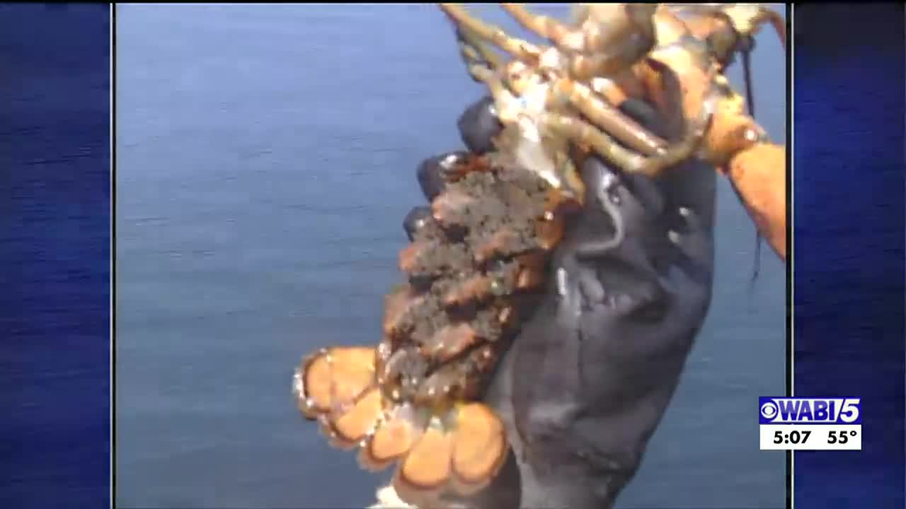 Settlement being worked out for cleaning up mercury pollution in