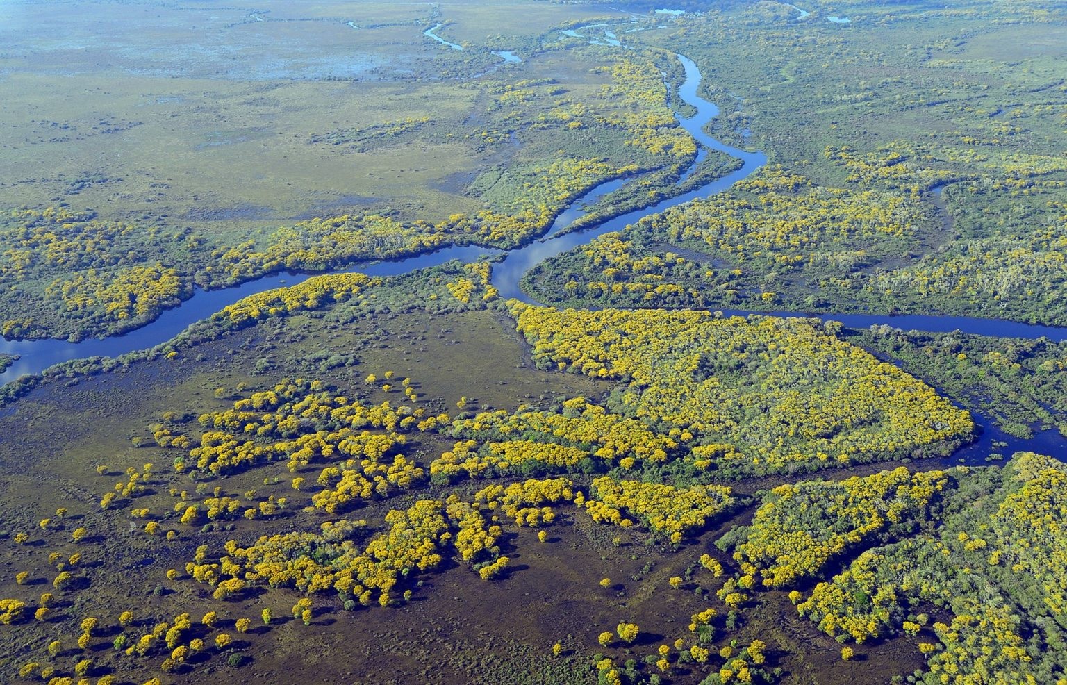 Tidal restoration to coastal wetlands reduces greenhouse emissions ...