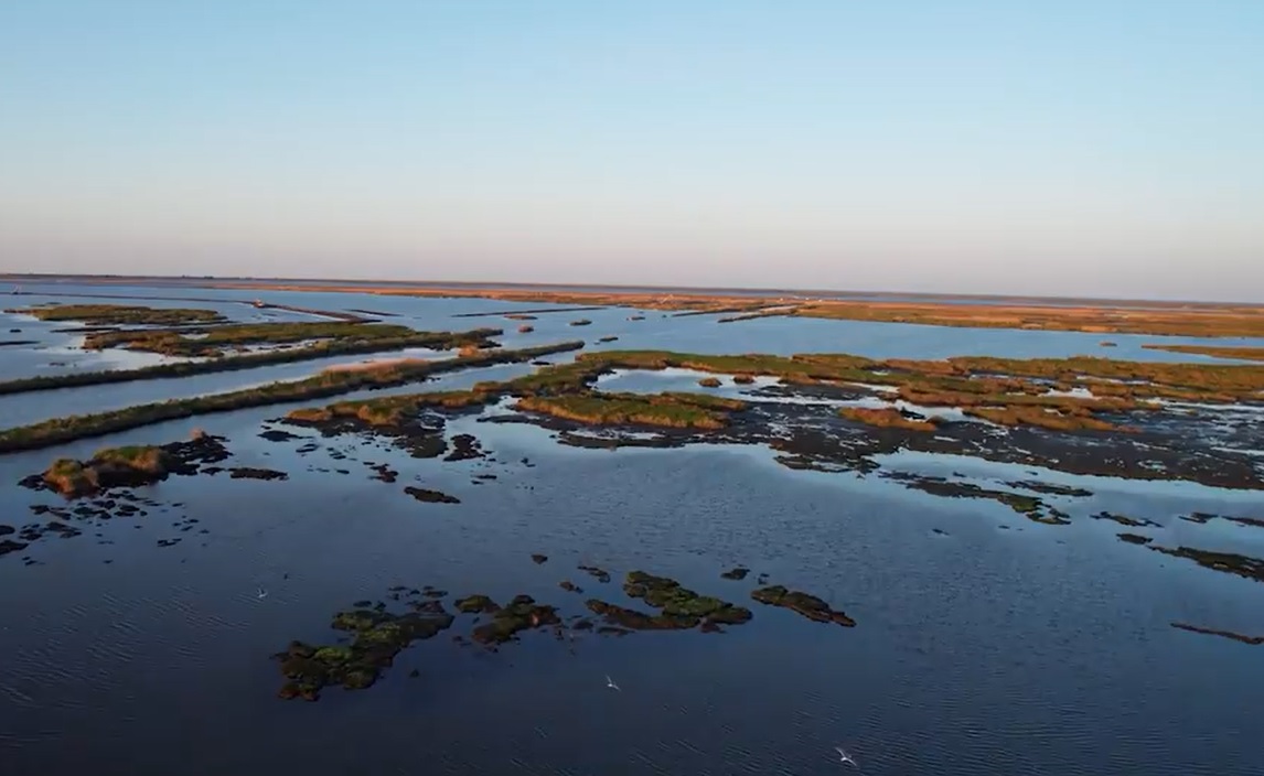 Witness Restoration - Upper Barataria Marsh Creation - Dredgewire 