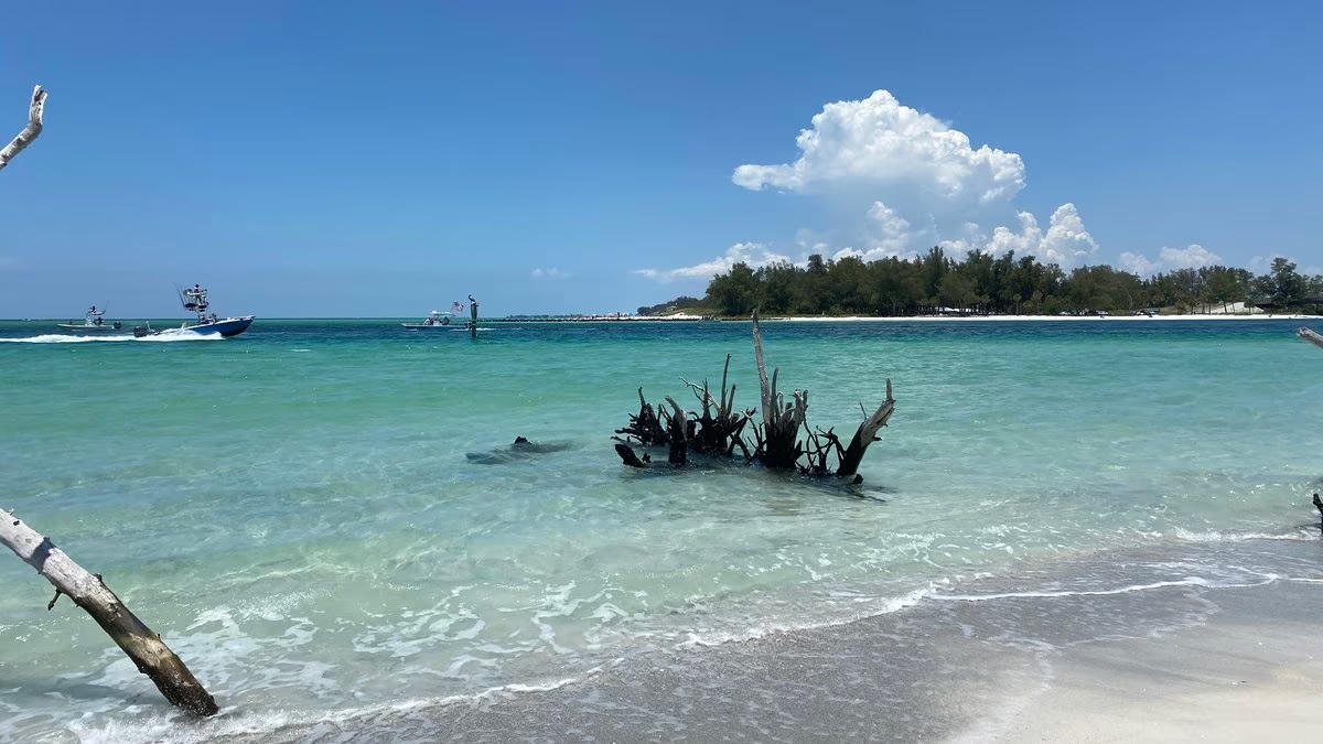 Longboat Key dredging prevents lagoon from forming DredgeWire DredgeWire