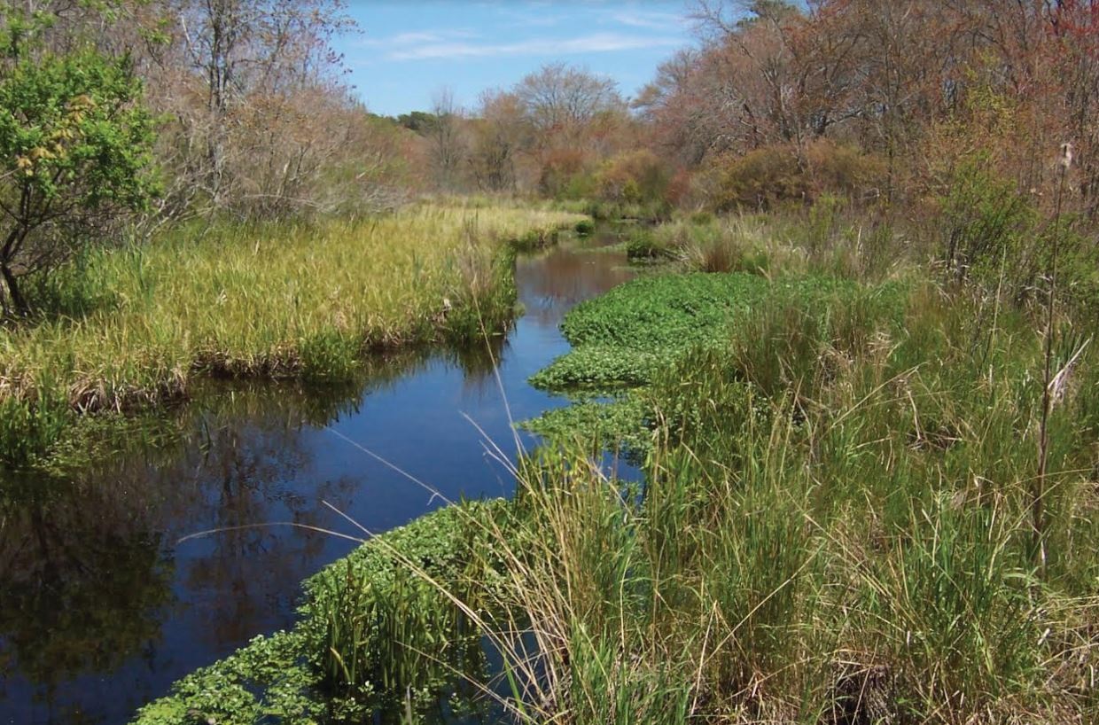 Herring River Restoration Project Awarded Funding - DredgeWire : DredgeWire