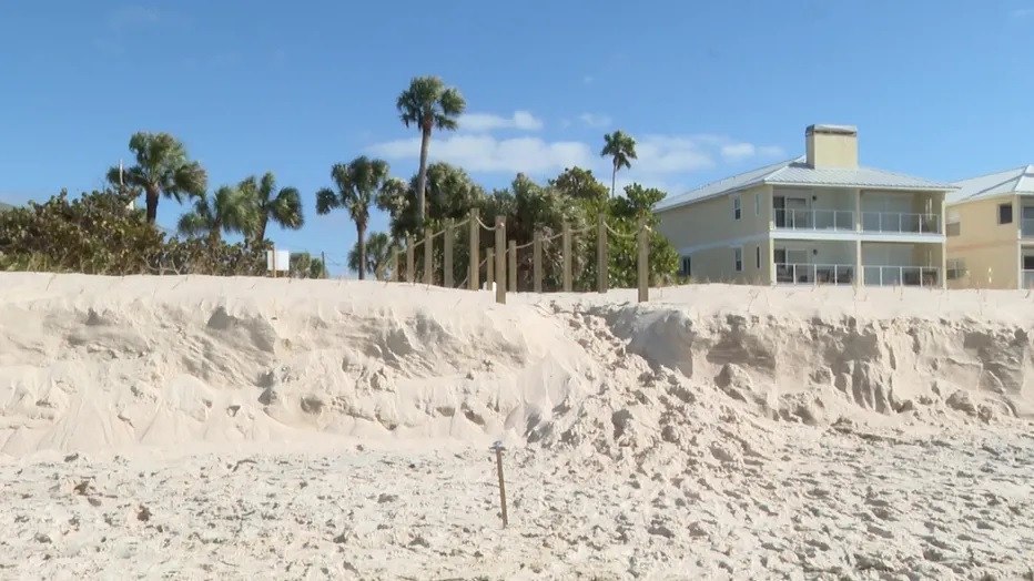 Newly restored dunes on Pinellas County beaches put to the test by ...