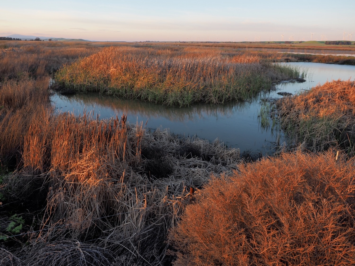 Montezuma Wetlands Awarded $60 Million USACE Contract to Support Bay Area Dredging Program - DredgeWire