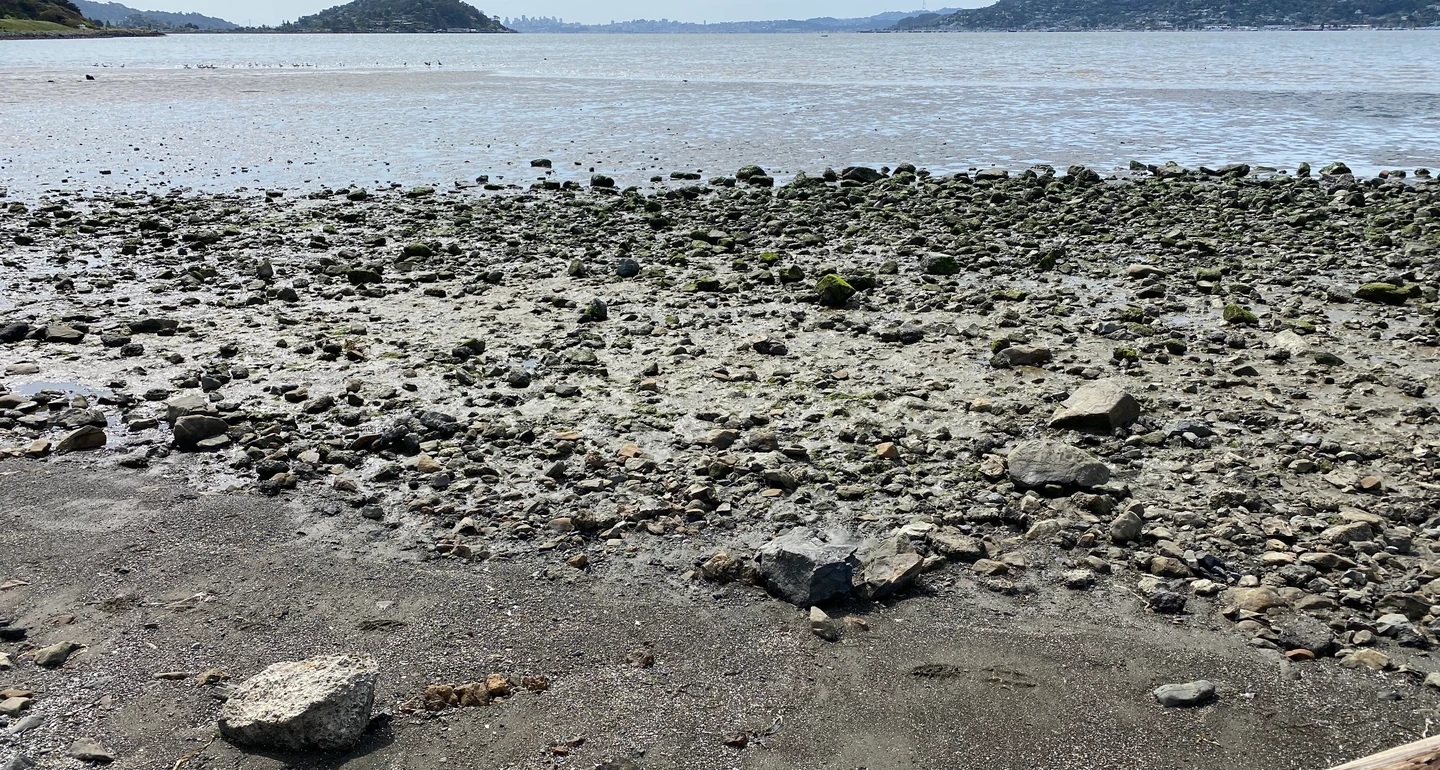 Audubon Promotes Greenwood Beach Restoration Project