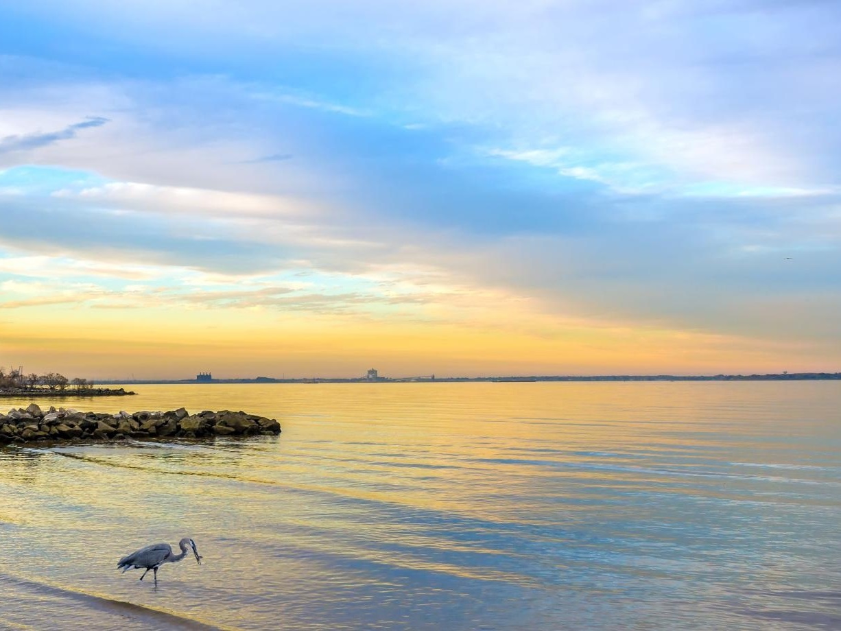 Northeast Rivers Congressman Andy Harris Secures $3.2 Million in Federal Funding for ...