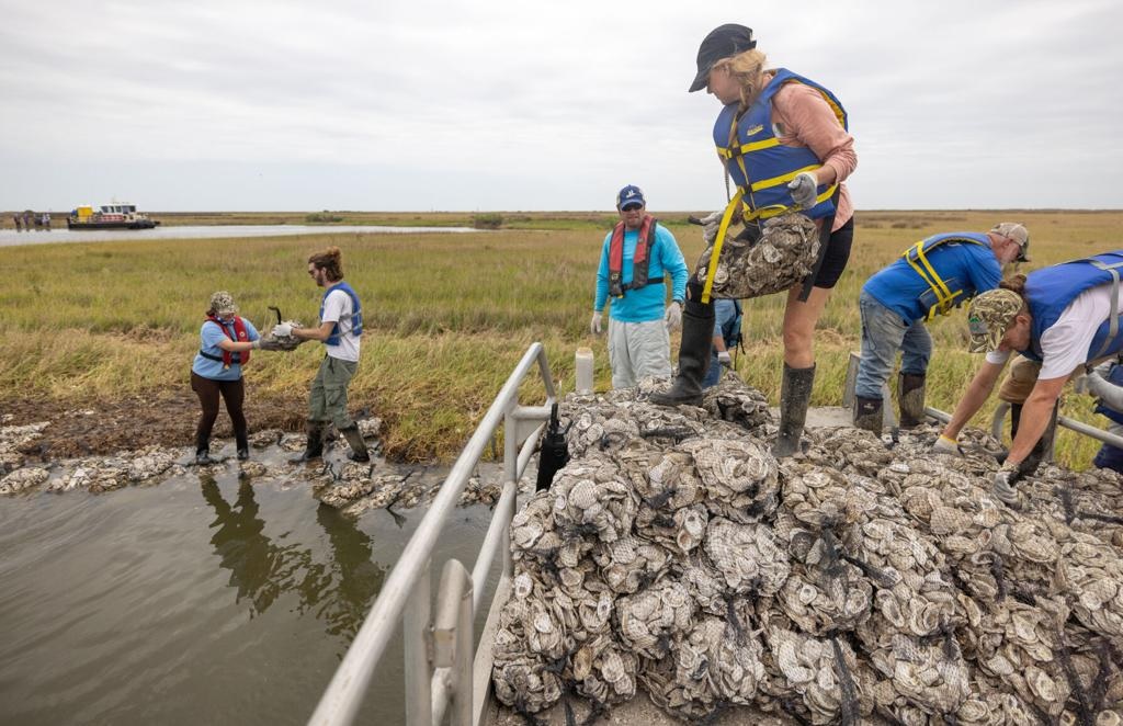 Redouble Louisiana should redouble coastal protection efforts - DredgeWire ...