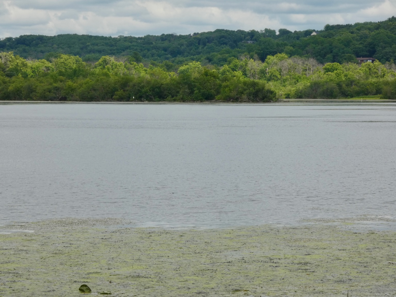 Temporary dam drawdown threatens to flush significant sediment into St ...