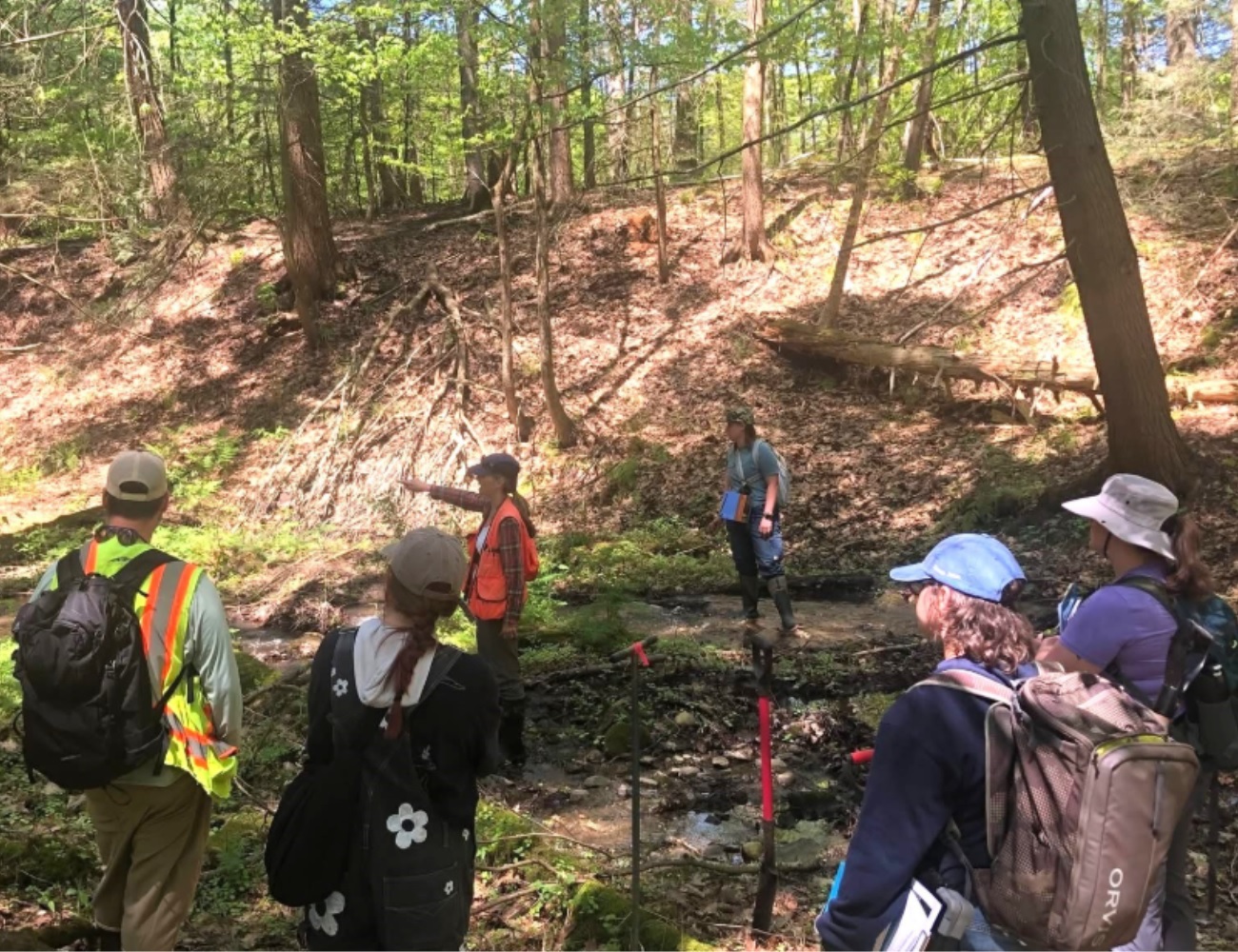 Healey-Driscoll Administration Awards Over $1 Million to Help Communities Restore Rivers, Wetlands, and Reduce Flooding