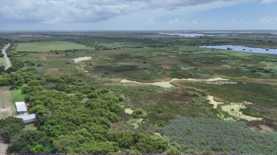 Space X & CPRA in Discussions Over Louisana Wetlands