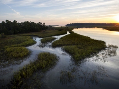 How Georgia Protected Its Salt Marsh 50 Years Ago, and Why That's ...